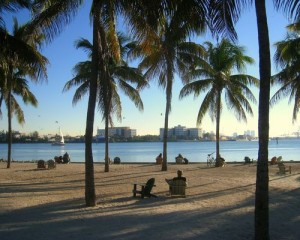 Les plages de Miami et les buildings
